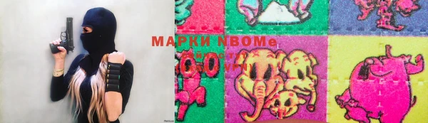 индика Коряжма