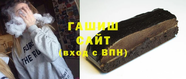 индика Коряжма