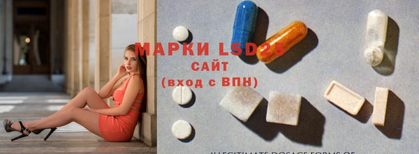 индика Коряжма