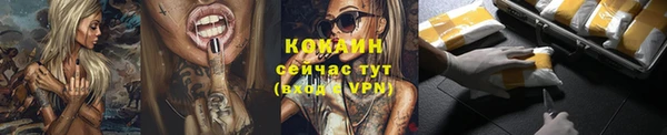 индика Коряжма
