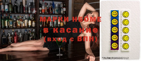 индика Коряжма