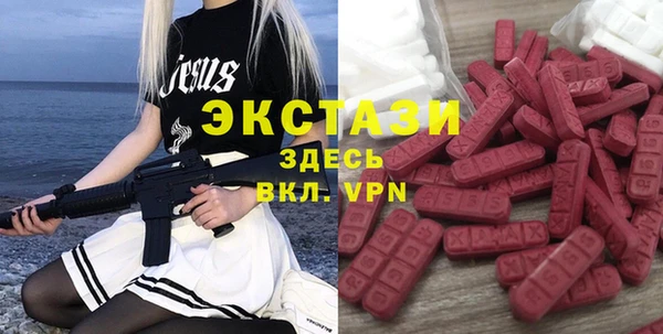 индика Коряжма
