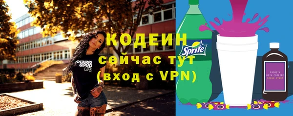 индика Коряжма