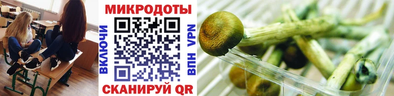 купить  цена  Называевск  Псилоцибиновые грибы GOLDEN TEACHER 