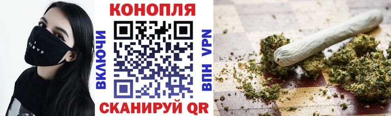 Каннабис сатива  Называевск 